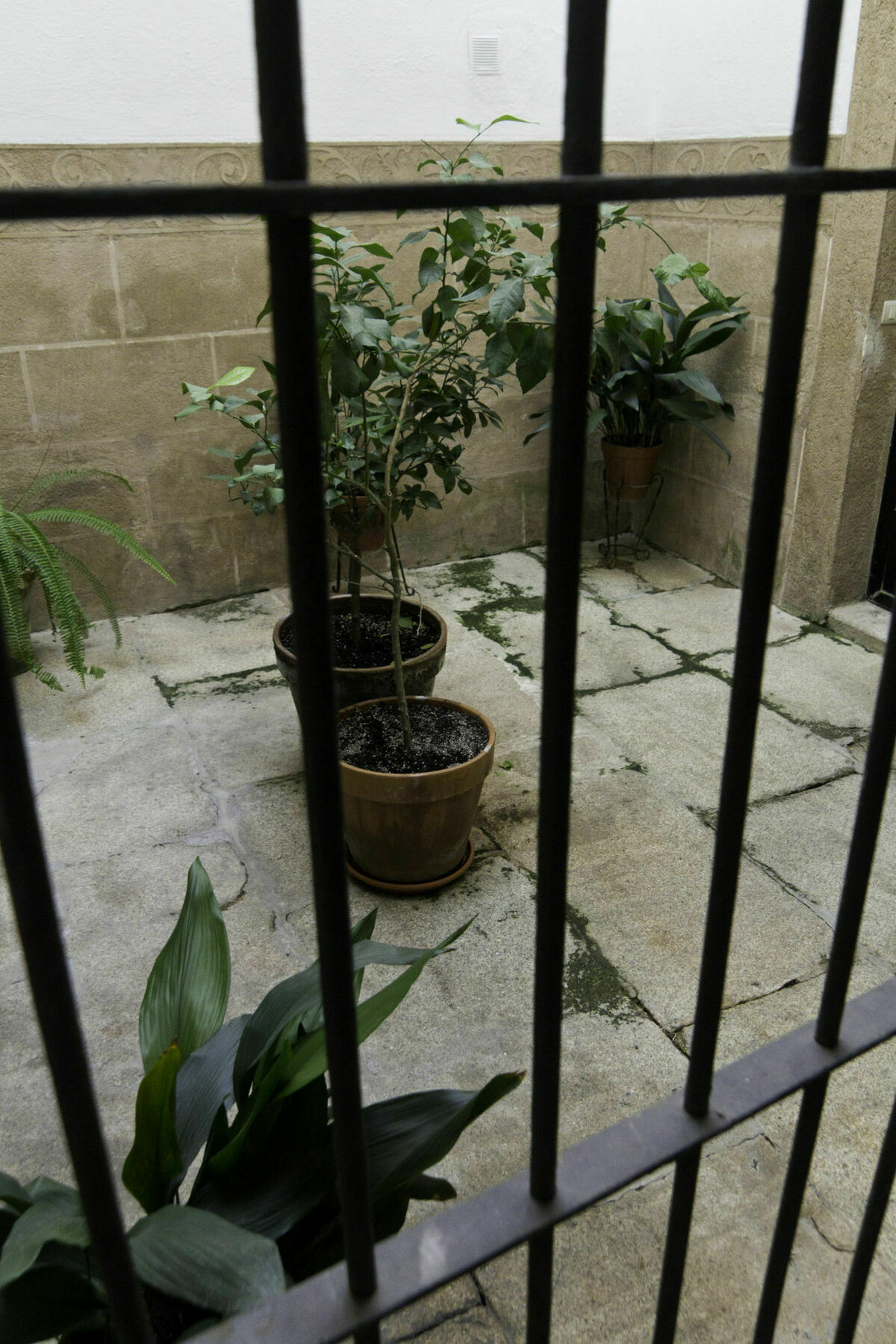 Casa Conde De Santa Olalla Caces Εξωτερικό φωτογραφία